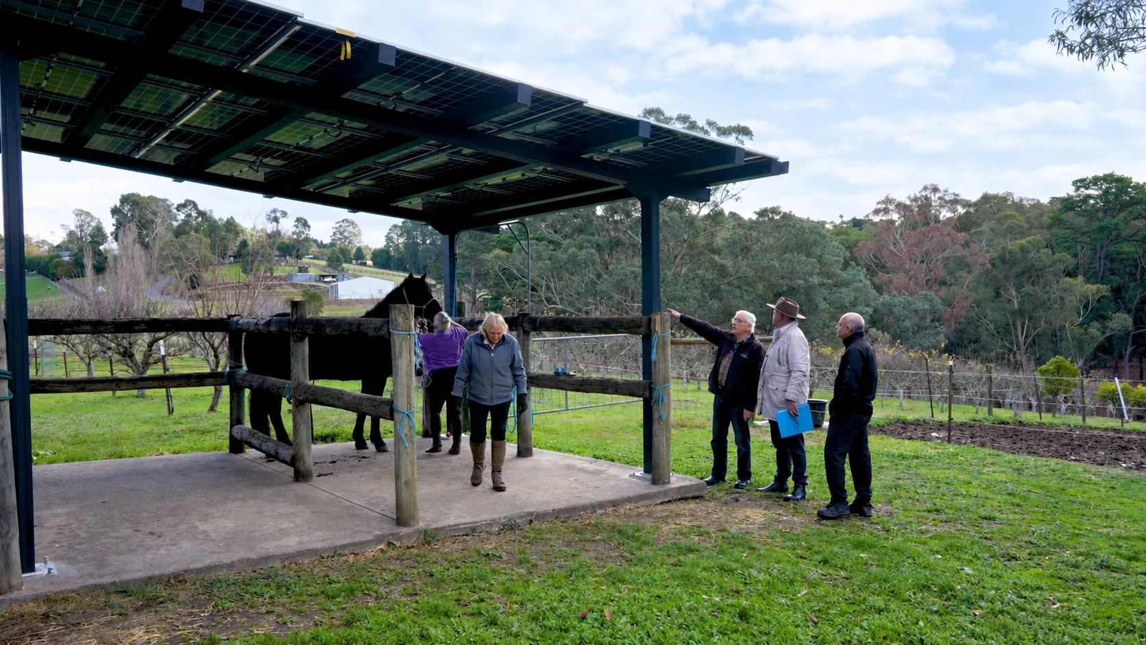 The canopy in use above the horse-handling area.